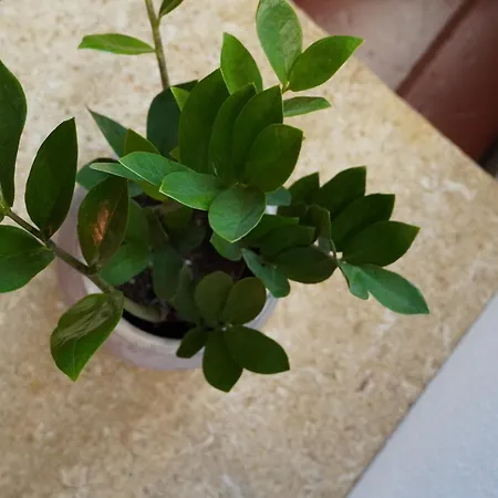 Casa de Férias Casa Da Torre