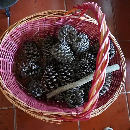 別荘 Casa Da Torre