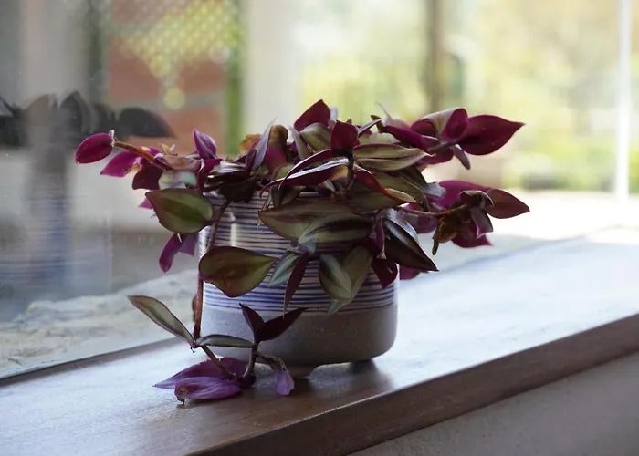 Casa Da Torre Casa vacanze