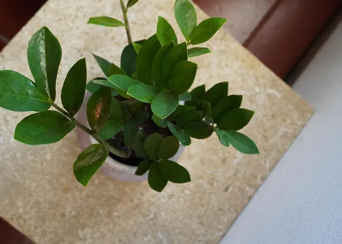 Semesterbostad Casa Da Torre