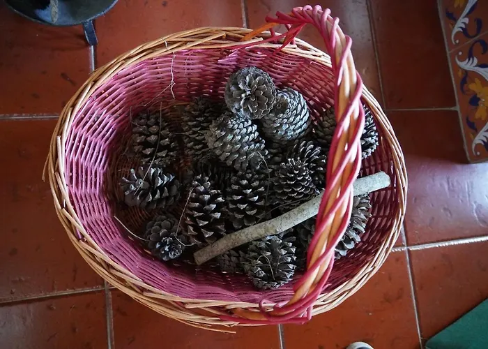 Semesterbostad Casa Da Torre